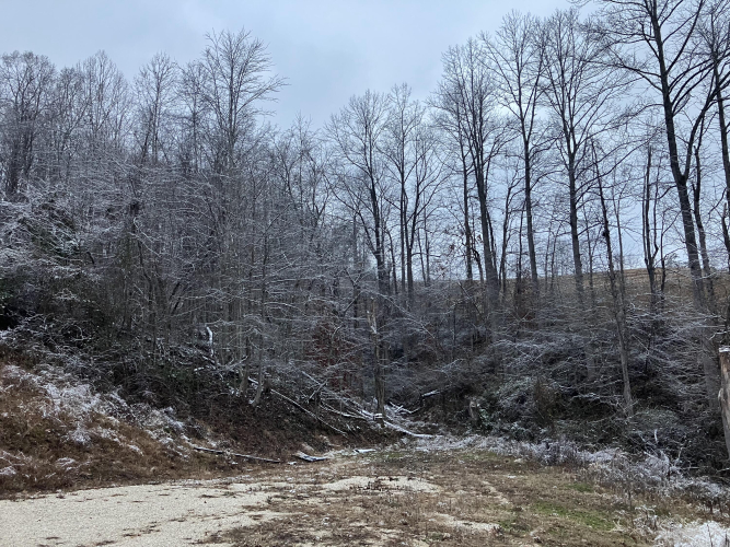 Listing Image 47