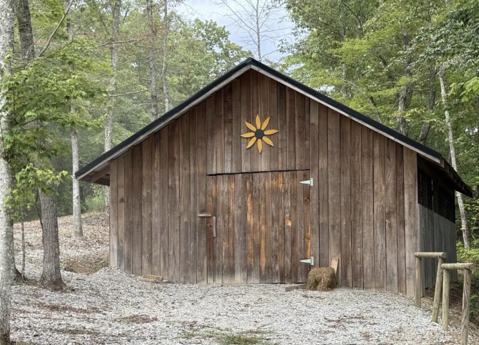 Listing Image 16