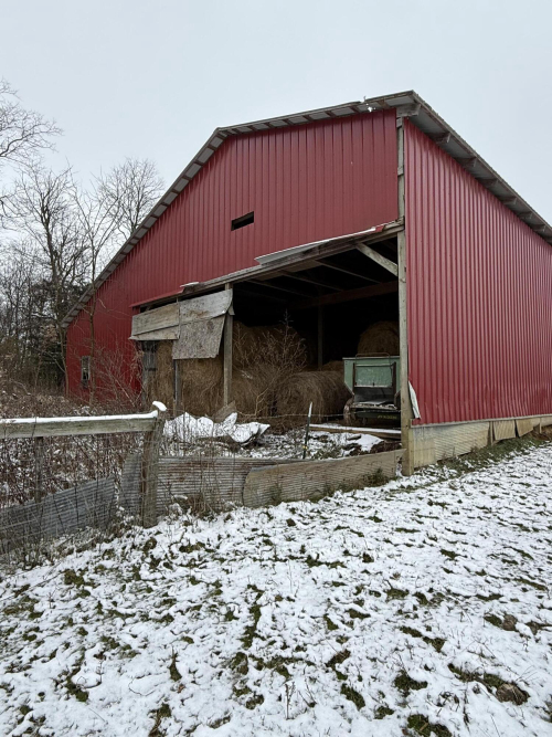 Listing Image 15