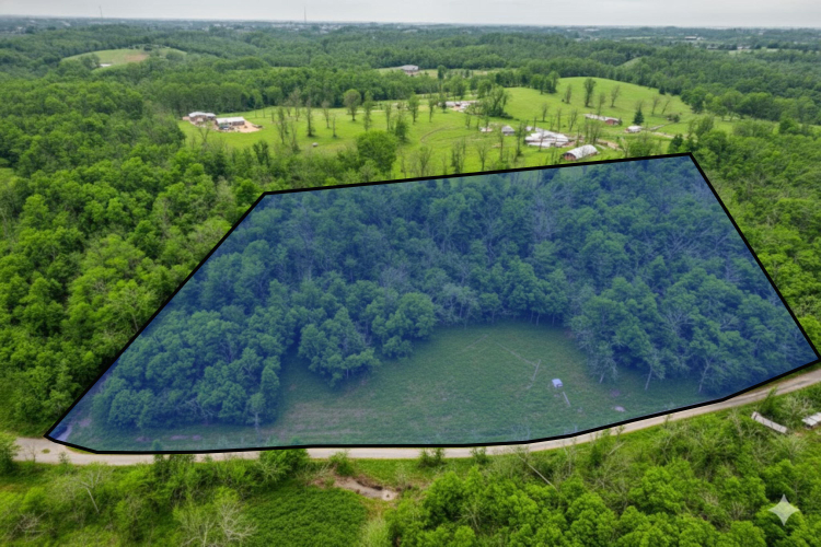 Listing Image 4