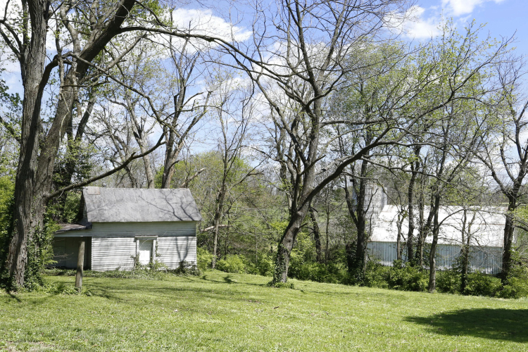 Listing Image 44