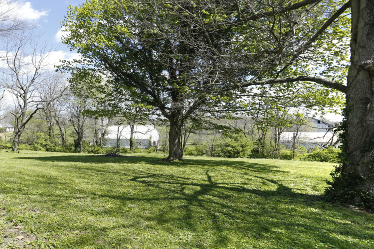 Listing Image 45
