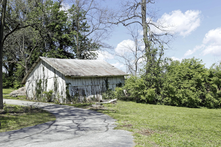 Listing Image 48
