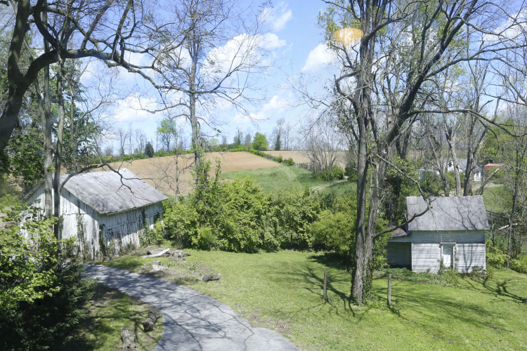 Listing Image 49