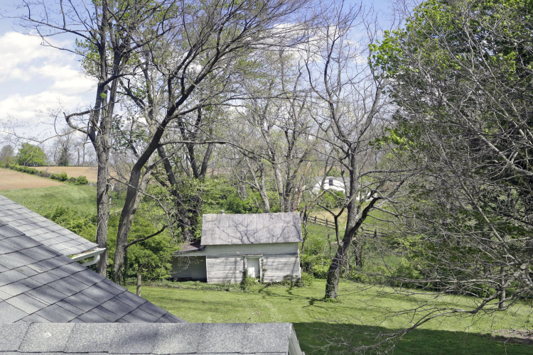 Listing Image 52