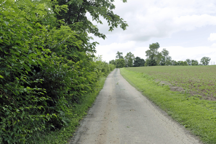 Listing Image 70