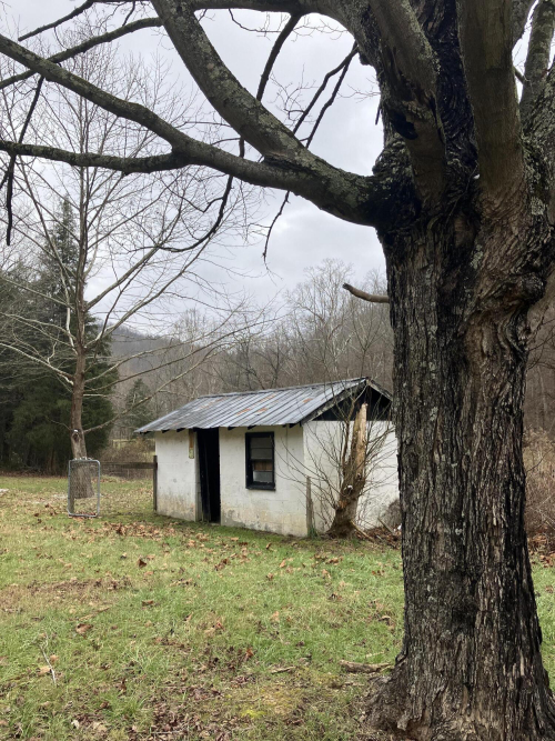 Listing Image 25