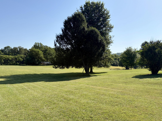 Listing Image 53