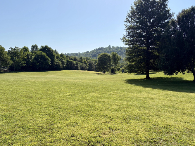 Listing Image 54