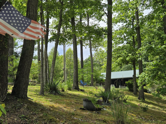 Listing Image 45