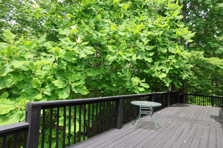 Listing Image 59