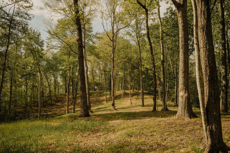 Listing Image 24