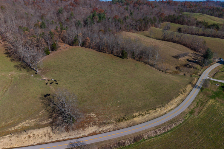 Listing Image 29