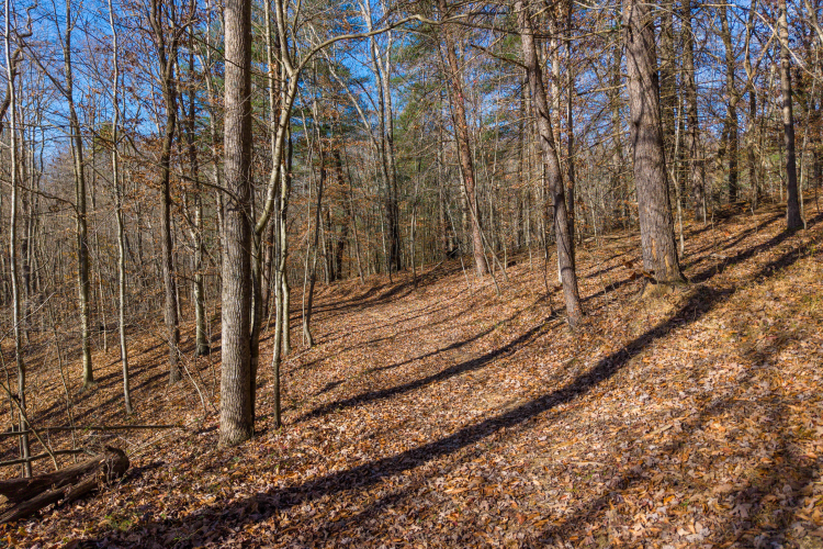 Listing Image 33