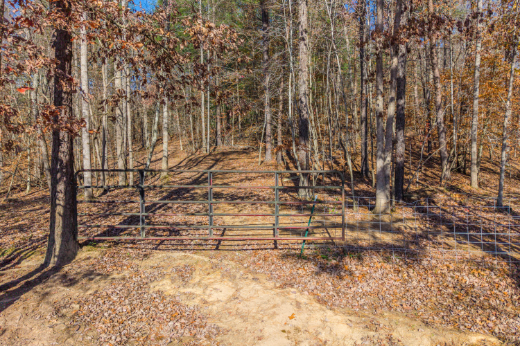 Listing Image 34