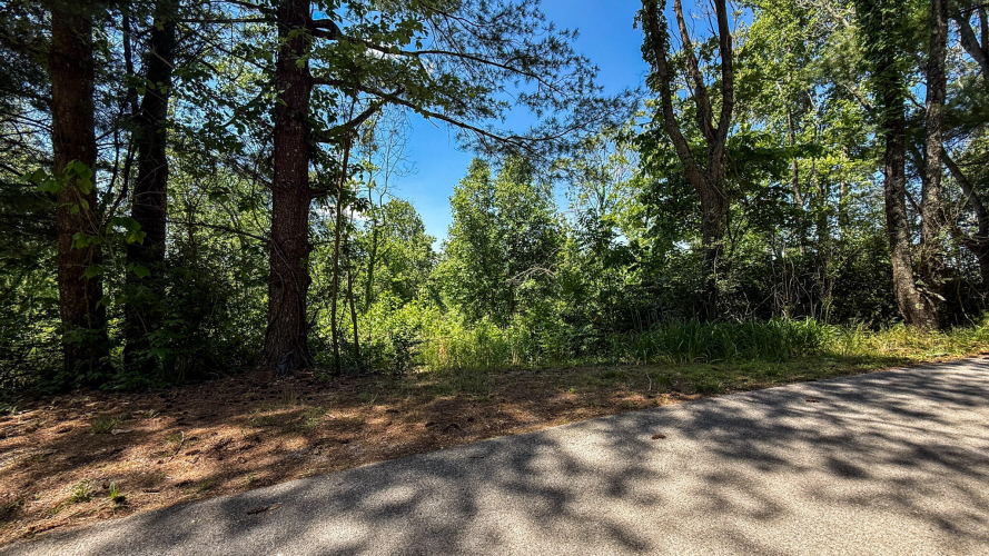 Listing Image 46