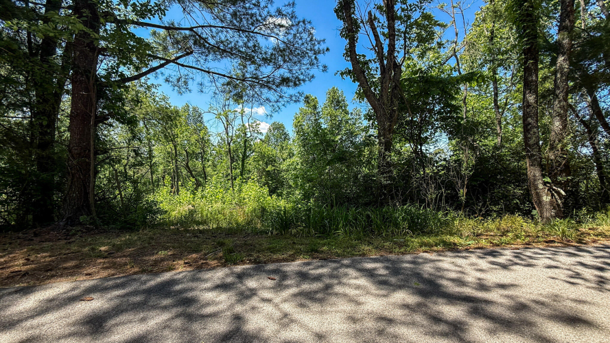 Listing Image 48