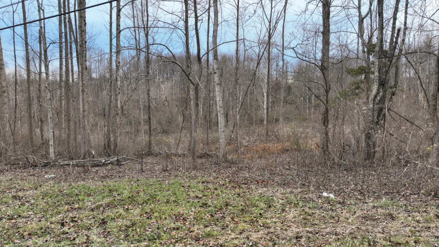 Listing Image 61