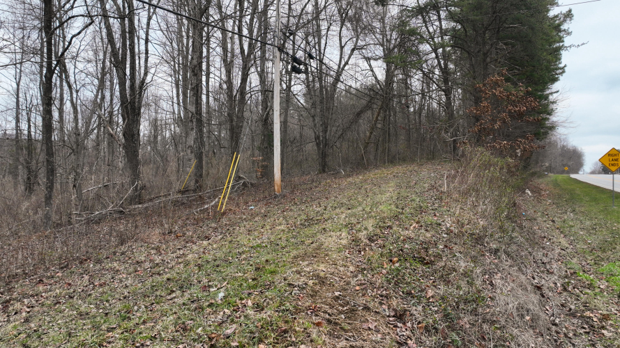 Listing Image 62