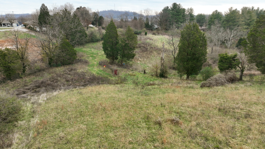 Listing Image 32