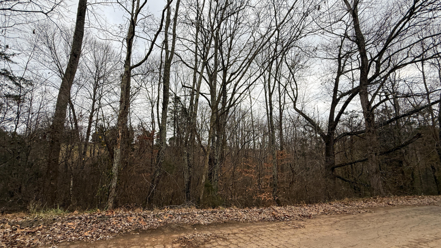 Listing Image 28