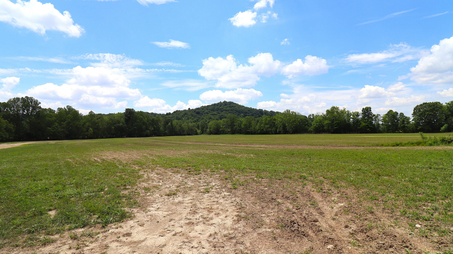 Listing Image 24