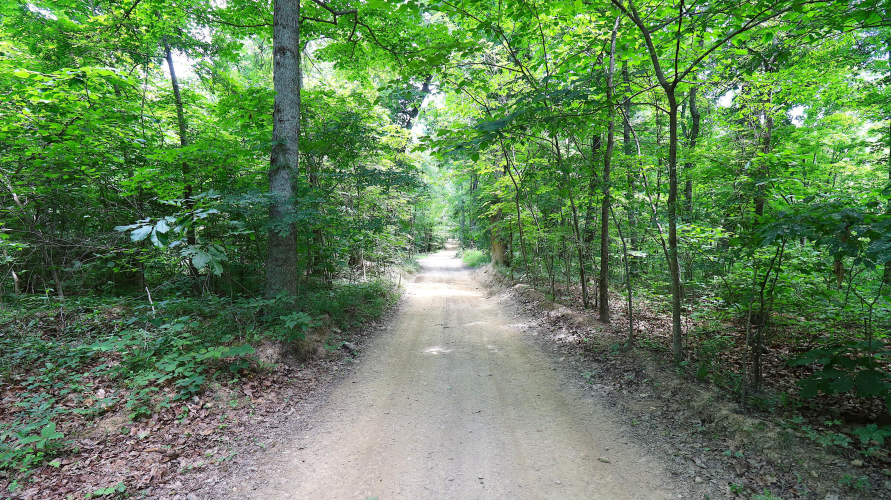 Listing Image 28