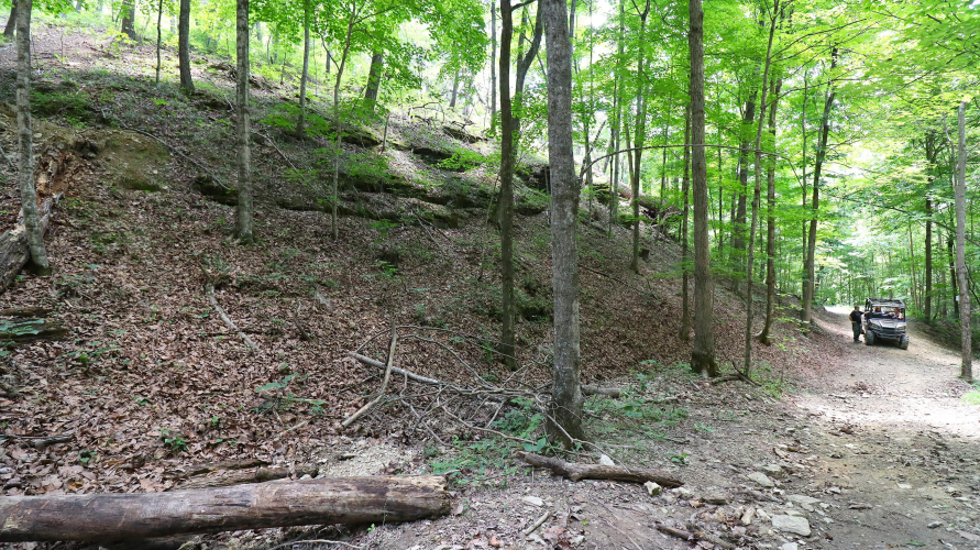Listing Image 29