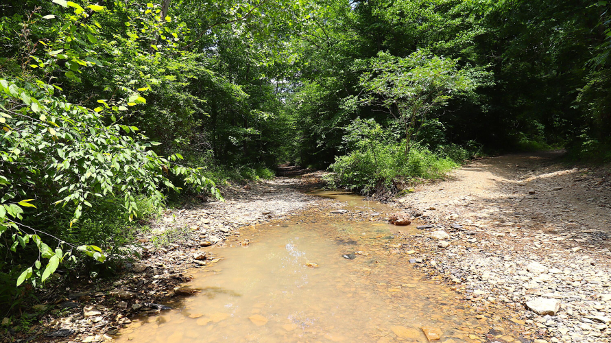 Listing Image 38