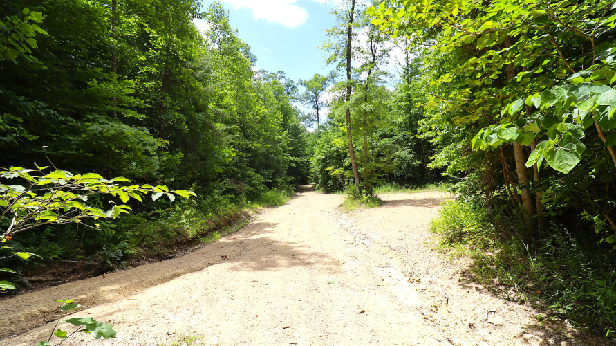Listing Image 41