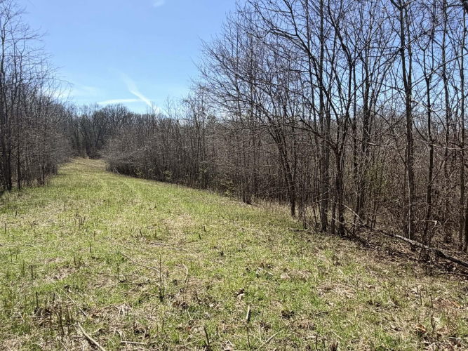 Listing Image 11