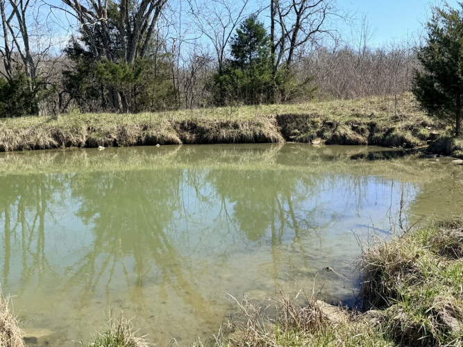 Listing Image 13