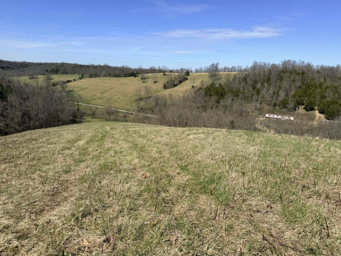 Listing Image 16