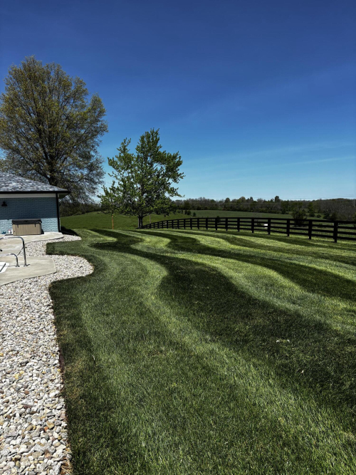 Listing Image 57