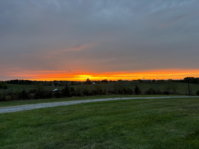 Listing Image 65