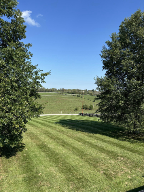Listing Image 67