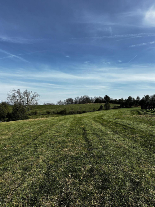 Listing Image 85
