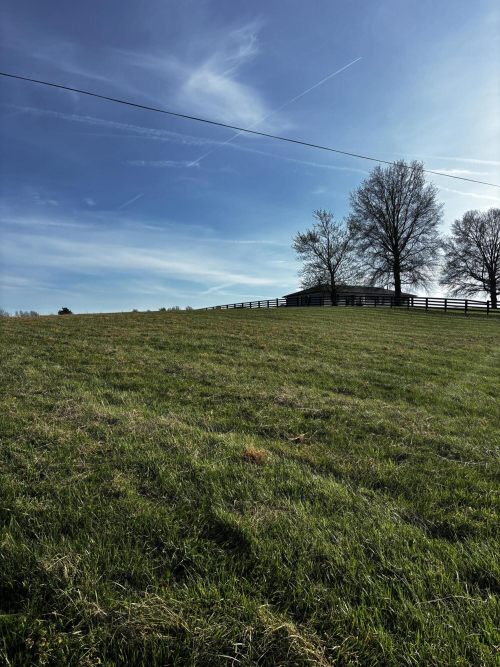 Listing Image 86