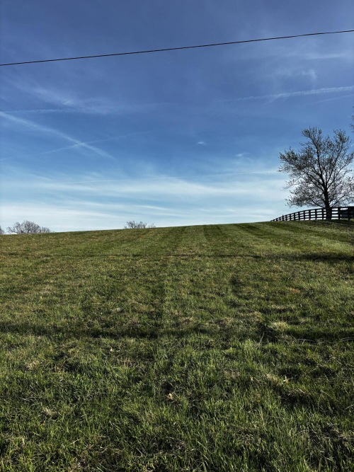 Listing Image 87