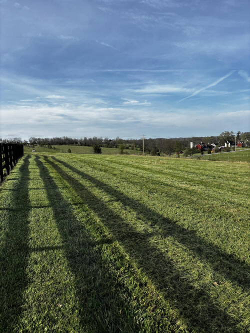 Listing Image 88