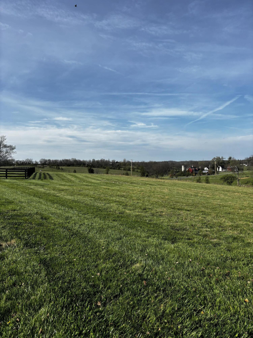 Listing Image 89