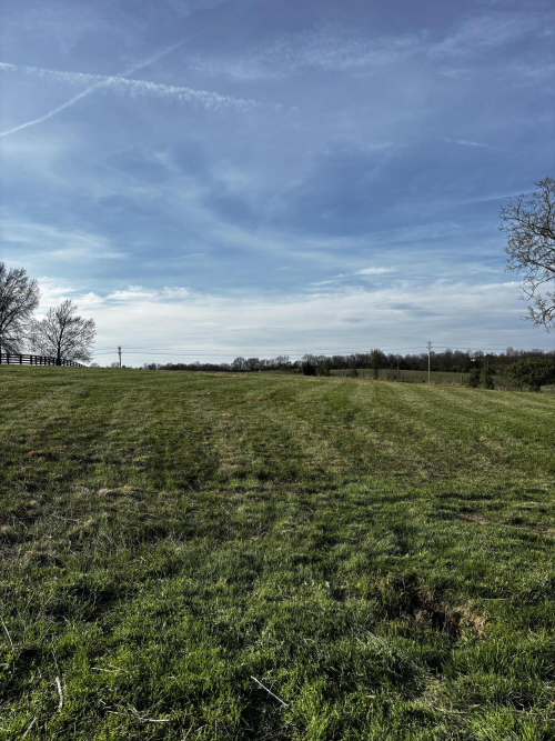 Listing Image 90
