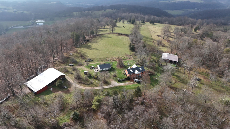 Listing Image 11
