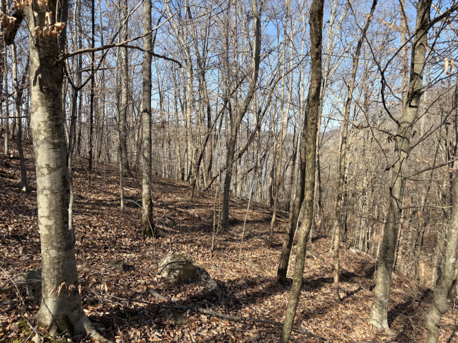 Listing Image 11