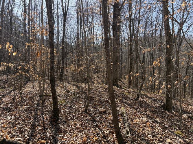 Listing Image 14