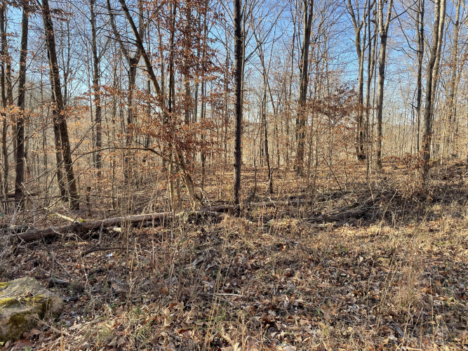 Listing Image 3