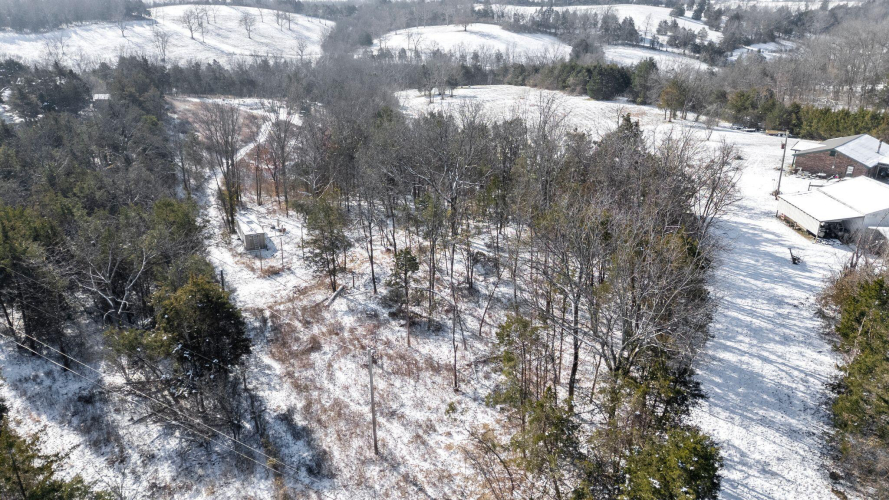 Listing Image 7