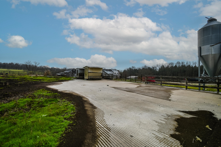 Listing Image 65