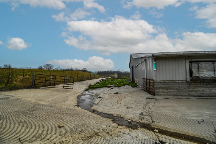 Listing Image 66