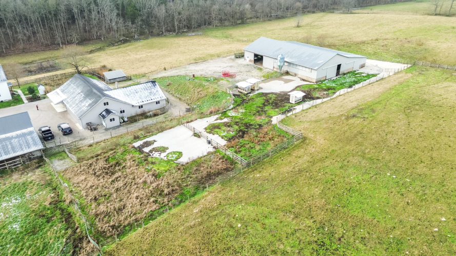 Listing Image 75
